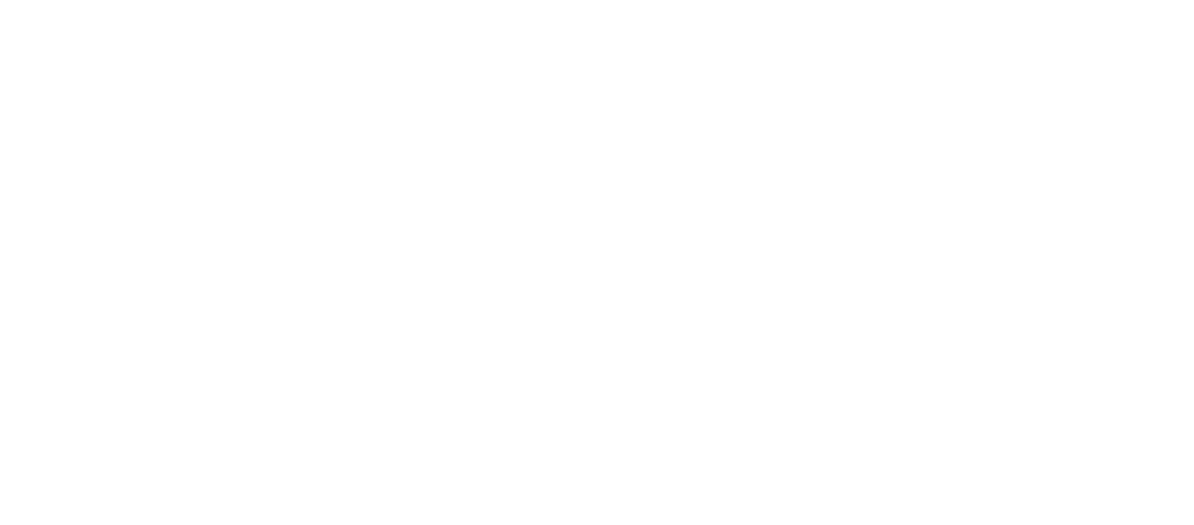 Company History