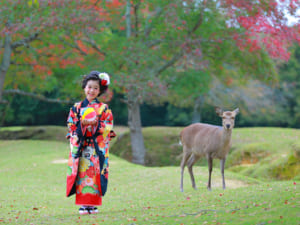 奈良公園