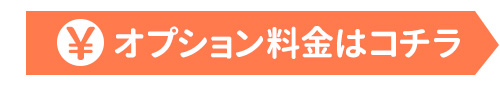 オプション料金はコチラ