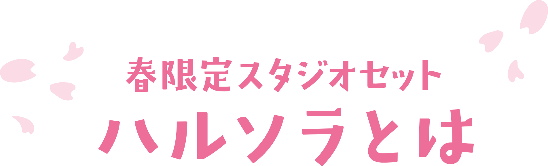 春限定スタジオセットハルソラとは