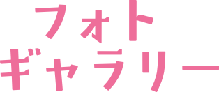 フォトギャラリー