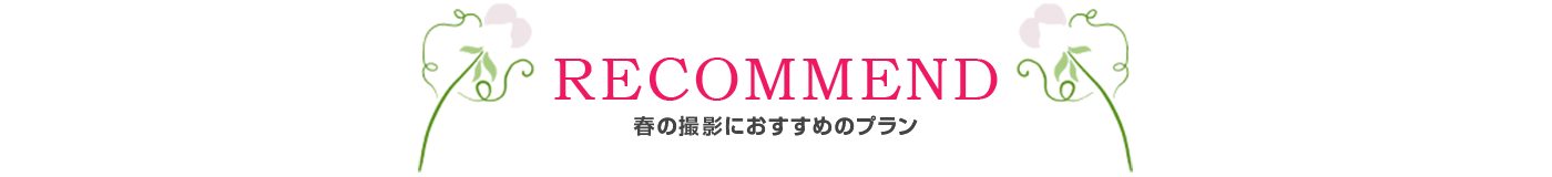 春の撮影におすすめのプランの紹介