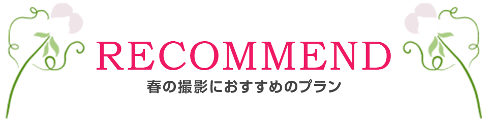 撮影ギャラリー