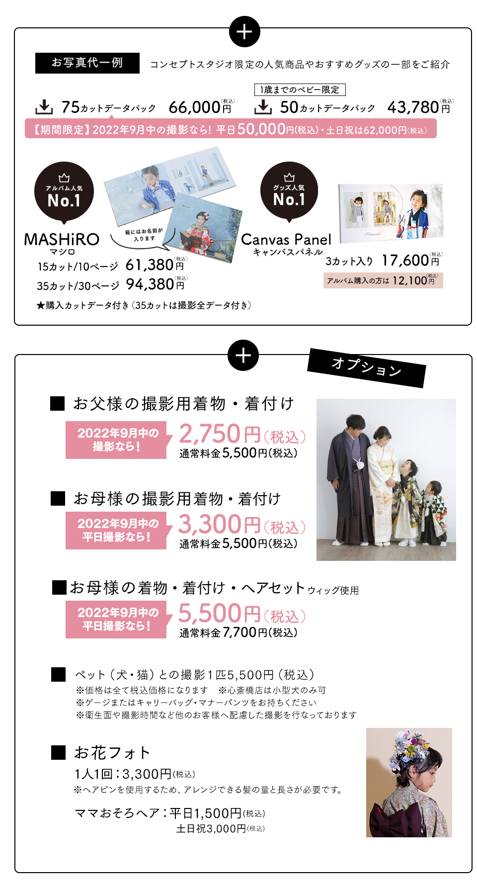 お写真代一例とオプション