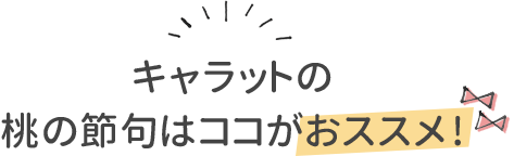 ひな祭 桃の節句 端午の節句 こどもの日 写真撮影ならスタジオキャラット ひな祭 桃の節句 端午の節句 こどもの日 写真撮影ならスタジオキャラット