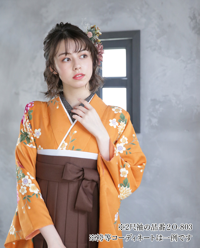 衣装イメージ