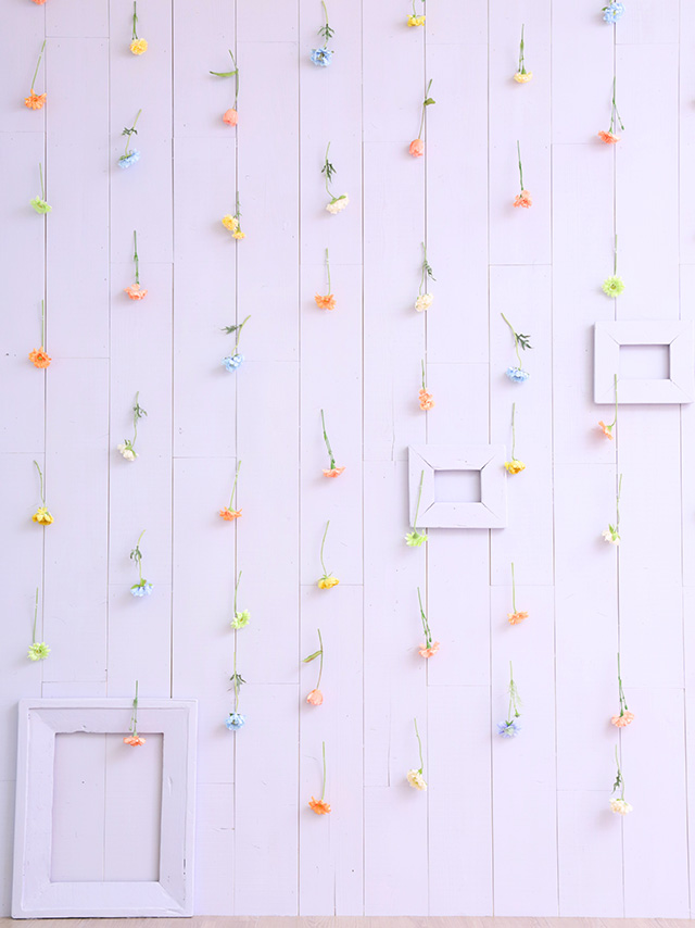 スタジオイメージ