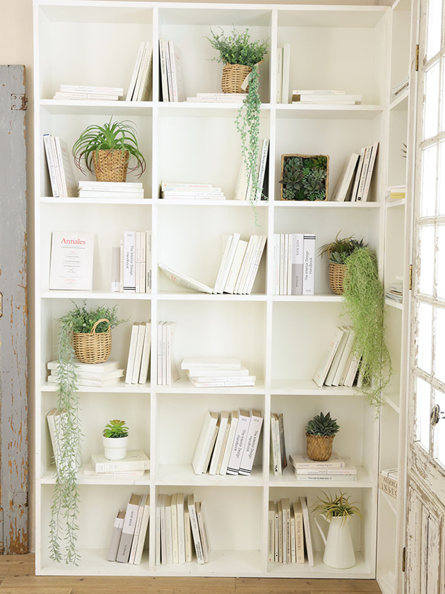 スタジオイメージ