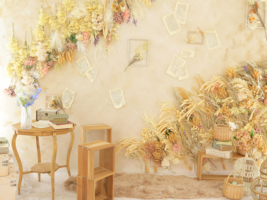 スタジオイメージ