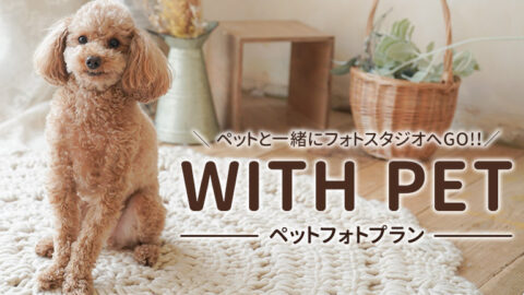 WITH PET | ペットフォトプラン｜写真館ならスタジオキャラット