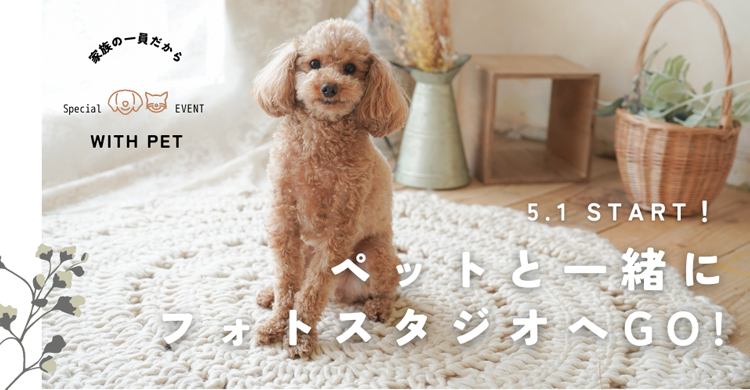 WITH PET | ペットフォトプラン｜写真館ならスタジオキャラット