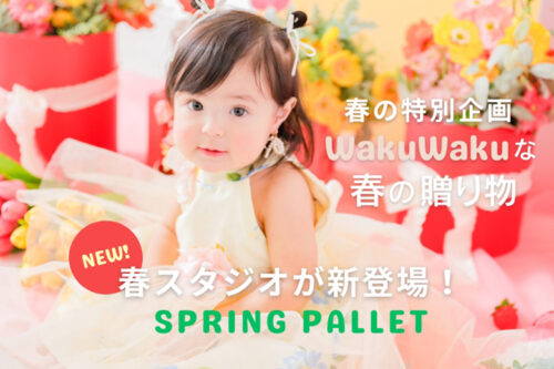 春スタジオ