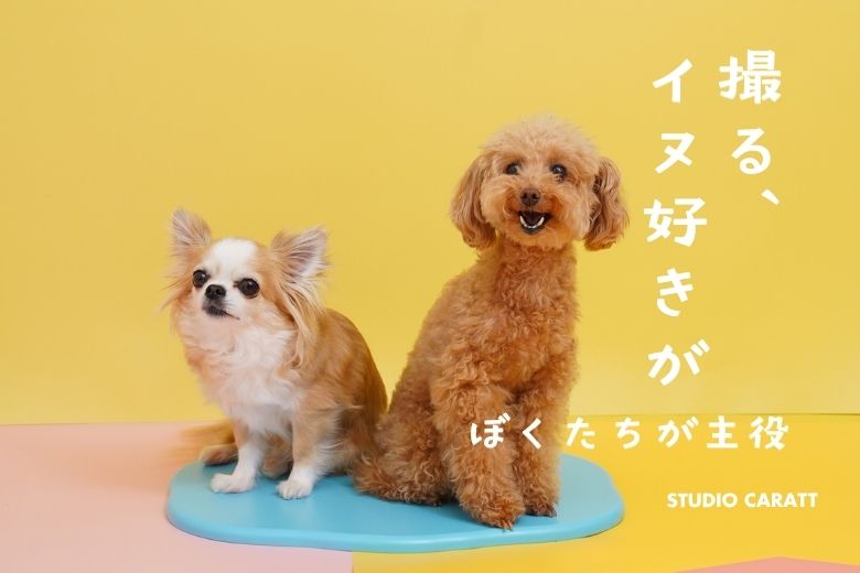 「イヌ好きが撮るペットフォト」全国13店舗で期間限定開催！