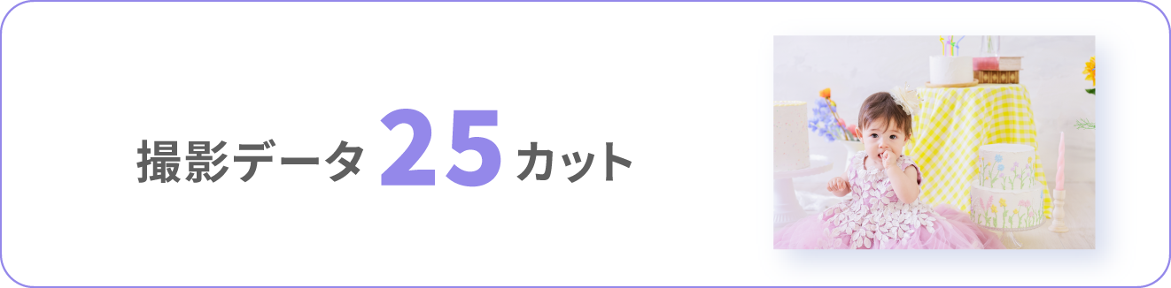 データ25カット