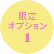 限定オプション1