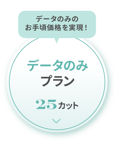 データのみプラン