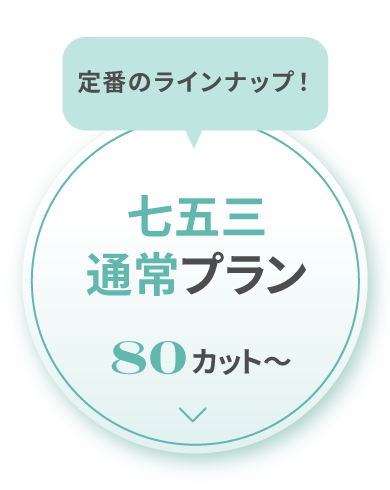 通常プラン