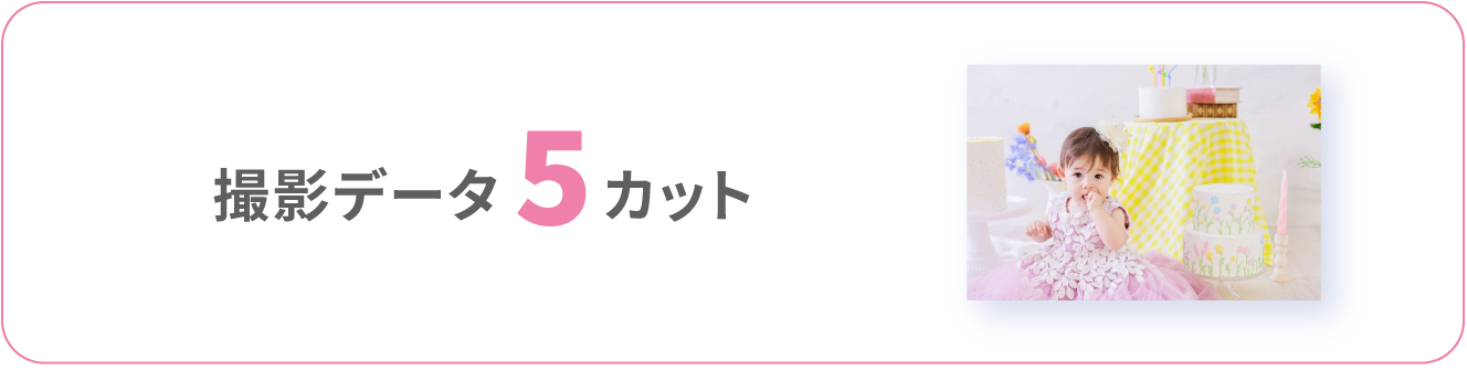 データ5カット