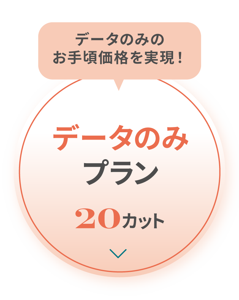 データのみプラン