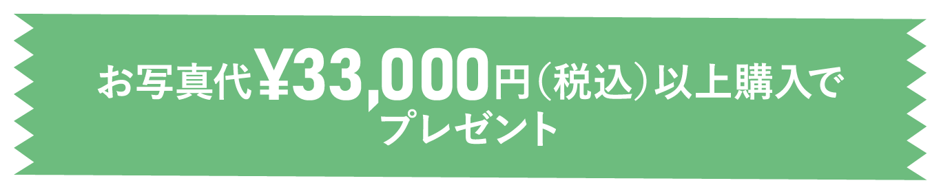 お写真代33,000円(税込)以上でプレゼント！