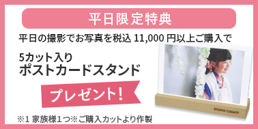 平日限定特典・税込11,000円以上ご購入で5カット入りポストカードスタンドプレゼント