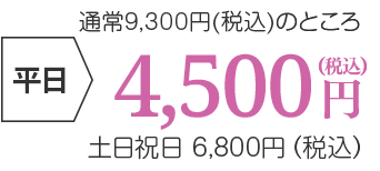 平日4,500円(税込)、土日祝日6,800円(税込)