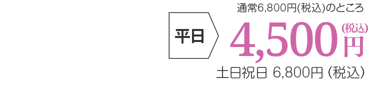 平日4,500円(税込)、土日祝日6,800円(税込)